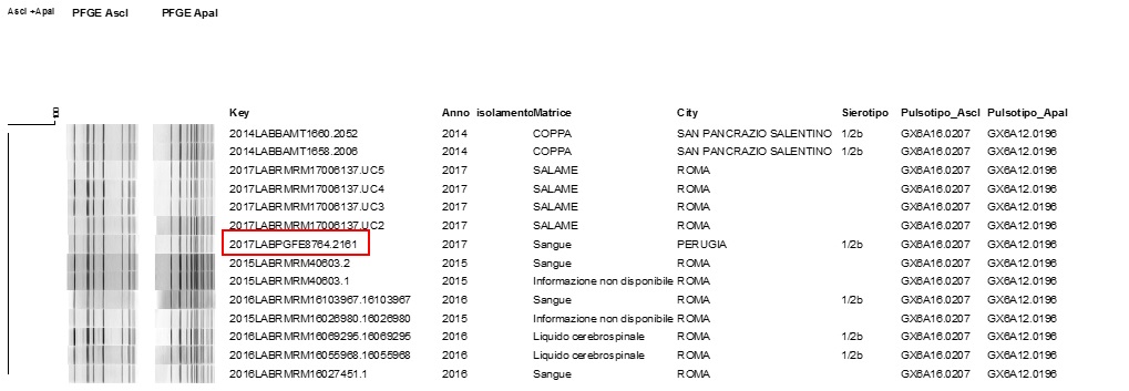 Figura 1. Consultazione del database nazionale LNR: profili PFGE combinati ApaI /AscI GX6A12.0198/GX6A16.0207 di ceppi, matrice di isolamento e luogo di prelievo del campione. Il ceppo clinico e' stato evidenziato in rosso